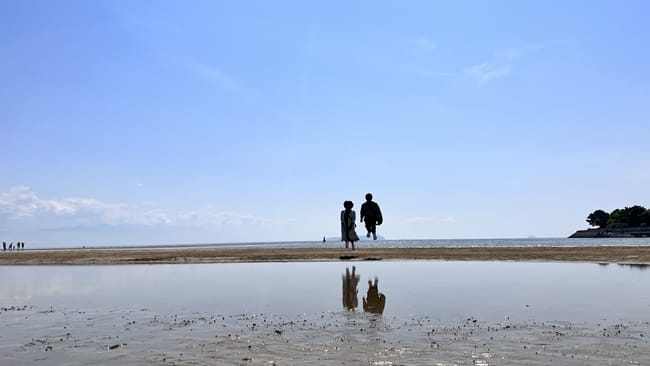 Person jumping with the figure doubled in the wet-sand reflection