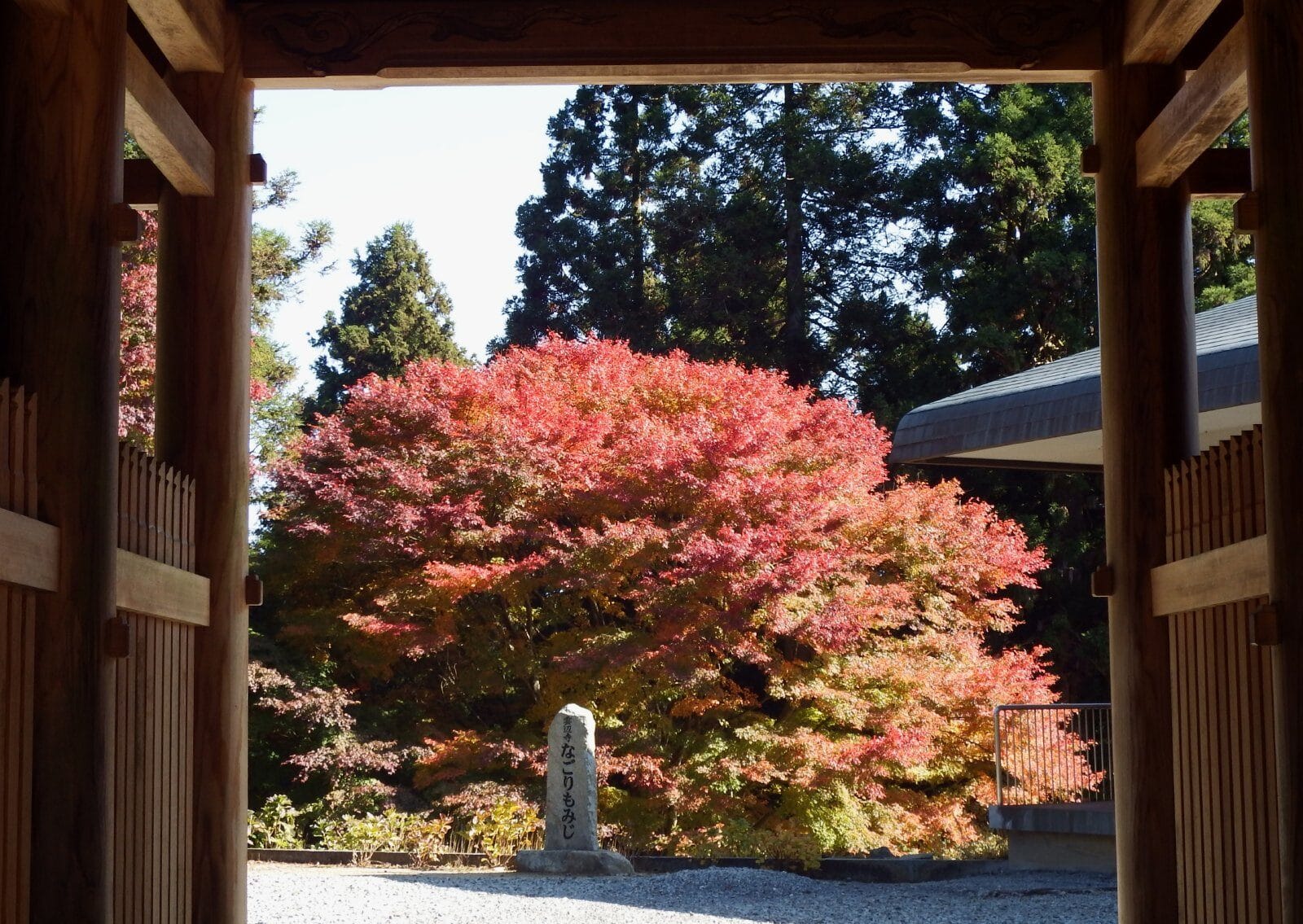 Unpenji temple grounds in November